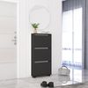 купить Полка для обуви Mobildor-Lux Leo Slim 100x16x125H cm Anthracite в Кишинёве 