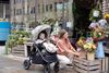 купить Детская коляска Joie S1803IAPEB000 Versatrax Pebble в Кишинёве 