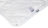 купить Одеяло Polydaun 1PWLO02140220 Lotta wol dekbed 140x220 White в Кишинёве 