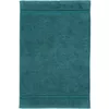 cumpără Prosop Rhomtuft 06670038/279 Princess towel 40x60 pinie în Chișinău 