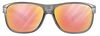 купить Защитные очки Julbo RENEGADE M GRIS RV AA 2-3 FGP в Кишинёве 