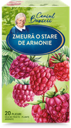 cumpără GRANDMA'S TEA Raspberry  20 pac în Chișinău 