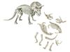 cumpără Joc educativ de masă Clementoni 1026-50909 Triceraptor Stiinta&Joaca în Chișinău 