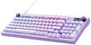 купить Игровая клавиатура Logitech G316 X 98 Wired Liliac в Кишинёве 