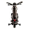 купить Электромобиль Golden Baby A007 Motocicleta electrica Aprilia, rosie, GB2212 в Кишинёве 