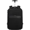 купить Рюкзак городской Samsonite Evosight Pe Roti 17.3 Negru (153527/1041) в Кишинёве 