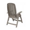 купить Кресло складное Nardi SALINA TORTORA 40290.10.000 (Кресло складное для сада и террасы) в Кишинёве 