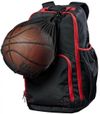 купить Мяч Wilson 2559 Geanta pt minge Basket WTB201910 в Кишинёве 
