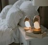 купить Ночной светильник Mary’s MW20790 LED Pink Toucan + Difuzor Bluetooth в Кишинёве 
