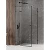 купить Душевая кабина New Trendy Avexa Black Rectangular R 100x90x200 Hinged EXK-1589 в Кишинёве 