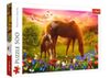 cumpără Puzzle Trefl 37451 Puzzle 500. Cai în Chișinău 