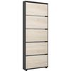 купить Полка для обуви Mobildor-Lux Leo Slim 70x16x203H cm Anthracite/Sonoma в Кишинёве 
