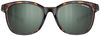 купить Защитные очки Julbo Spark Brown Plz3 (J5299051) в Кишинёве 