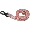 купить Товар для животных Explorer Dog TED114 Lesa pentru caini Heart, marimea L, 170cm в Кишинёве 