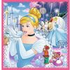 купить Головоломка Trefl 34833 Puzzles 3in1 Disney Princess в Кишинёве 
