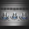 купить Мангал Napoleon BILEX605, gratar gaz incorporat, inox (BILEX605RBIP) в Кишинёве 
