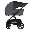 купить Детская коляска Lionelo Carucior 2in1 Carmine Grey Stone в Кишинёве 
