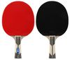 cumpără Articol de tenis miscellaneous 1293 Paleta tenis de masa cu husa FOX-5 STAR în Chișinău 