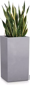 cumpără Ghiveci pentru flori Lechuza Canto Color Tower 30, Stone Gray în Chișinău 