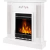 купить Камин электрический ArtFlame Smile nut & Gala silver в Кишинёве 