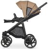 купить Детская коляска Riko Carucior 2in1 Aura Camel 02 в Кишинёве 