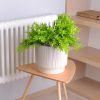 cumpără Ghiveci pentru flori Aleana 128027 Oslo cu insertie d12cm, white rose în Chișinău 