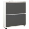 cumpără Raft pentru încălțăminte Mobildor-Lux Leo Slim 50x16x86H cm White/Anthracite în Chișinău 