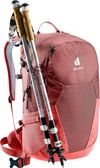 купить Рюкзак спортивный Deuter Futura 21 SL caspia-currant в Кишинёве 