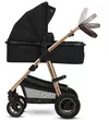 купить Детская коляска Lionelo Amber 2in1 Black Onyx в Кишинёве 