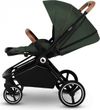 купить Детская коляска Lionelo Mika 2in1 Green Forest в Кишинёве 