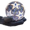 cumpără Minge Adidas 1337 Minge fotbal MINI Adidas UCL HT9007 în Chișinău 