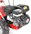 cumpără Motocultor Hecht 750 (hecht750) în Chișinău 