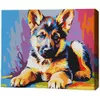купить Картина по номерам BrushMe RMG0002FC 30x40 см (без коробки) Разноцветный щенок в Кишинёве 