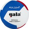 Мяч волейбольный №5 Gala Pro-Line FIVB Approved 5595 (8999) 