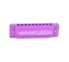 купить Музыкальная игрушка Bontempi 301010 Губная гармошка с металлическими язычками в Кишинёве 