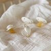 купить Пустышка BIBS 92340 Set 4 suzete Try-it collection 6+ luni Ivory в Кишинёве 