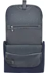 купить Несессер/косметичка Samsonite Respark (145865/1549) в Кишинёве 