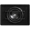 купить Авто-сабвуфер ESX SXB8A Signum Subwoofer activ в Кишинёве 