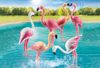 купить Конструктор Playmobil PM70351 Flock of Flamingos в Кишинёве 