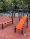 купить Уличный тренажер PlayPark WORKOUT C-029 в Кишинёве 