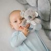 cumpără Zornăitoare BabyOno 1634 Jucarie Coala Coco în Chișinău 