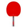 Ракетка для настольного тенниса inSPORTline Shootfair S3 21555 (10036) 