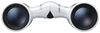 купить Бинокль Nikon Aculon T02 8x21 White в Кишинёве 