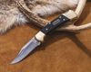 купить Нож походный Buck 0112BRS3-B 13333 RANGER AFRICAN EBONY в Кишинёве 