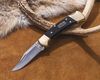 cumpără Cuțit turistic Buck 0112BRS3-B 13333 RANGER AFRICAN EBONY în Chișinău 