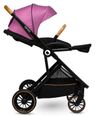 купить Детская коляска Lionelo Riya Pink Violet (2in1) в Кишинёве 