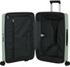 купить Чемодан Samsonite Upscape 81/30 TSA Exp Verde Deschis (143111/A807) в Кишинёве 