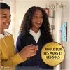 cumpără Jucărie cu telecomandă miscellaneous 6072707 Harry Potter, Летающая машинка Уизли на R/C în Chișinău 
