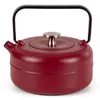 cumpără Infuzor ceai Luigi Ferrero Opera FR-1613, 800ml în Chișinău 