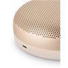 cumpără Boxă portativă Bluetooth Bang & Olufsen Beosound A1 2nd Gen Gold Tone în Chișinău 